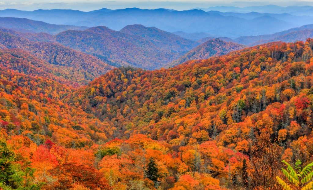 Great Smoky Mountains