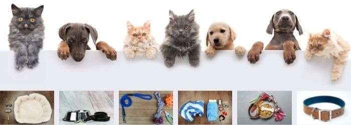 RV Pet Accessories