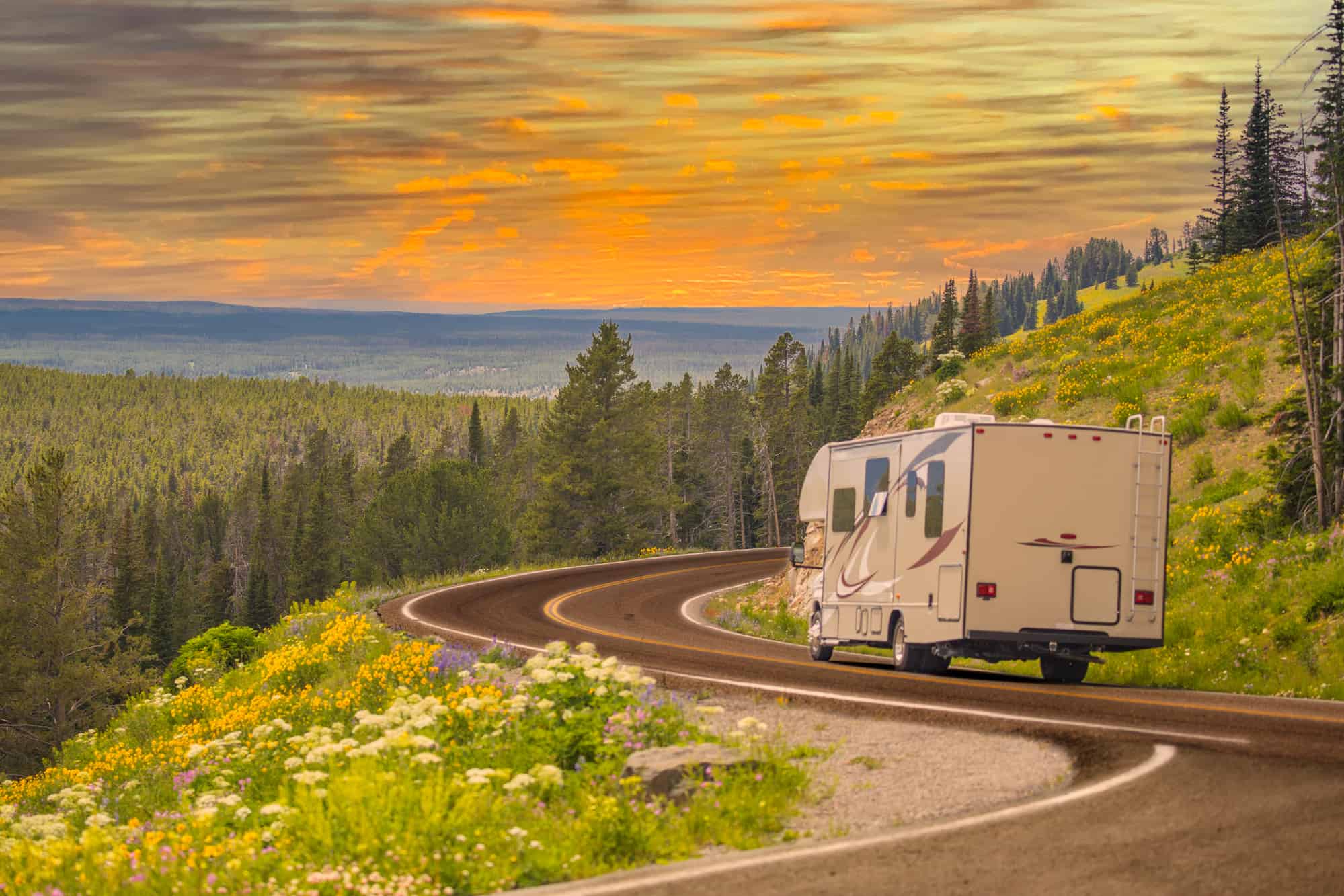 RV Driving Down Road in mountain among pine trees and flowers