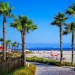 San Diego California Beach with Palm Trees
