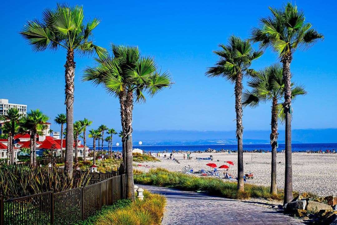 San Diego California Beach with Palm Trees