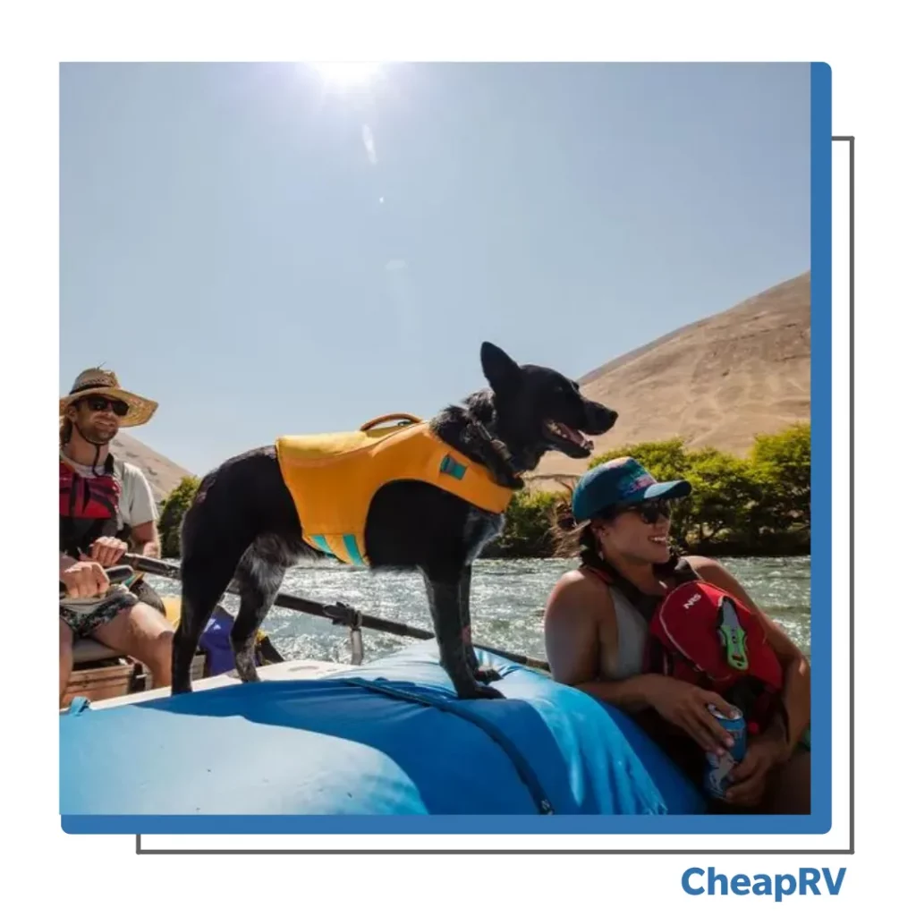 Pet Accessories Life Jacket