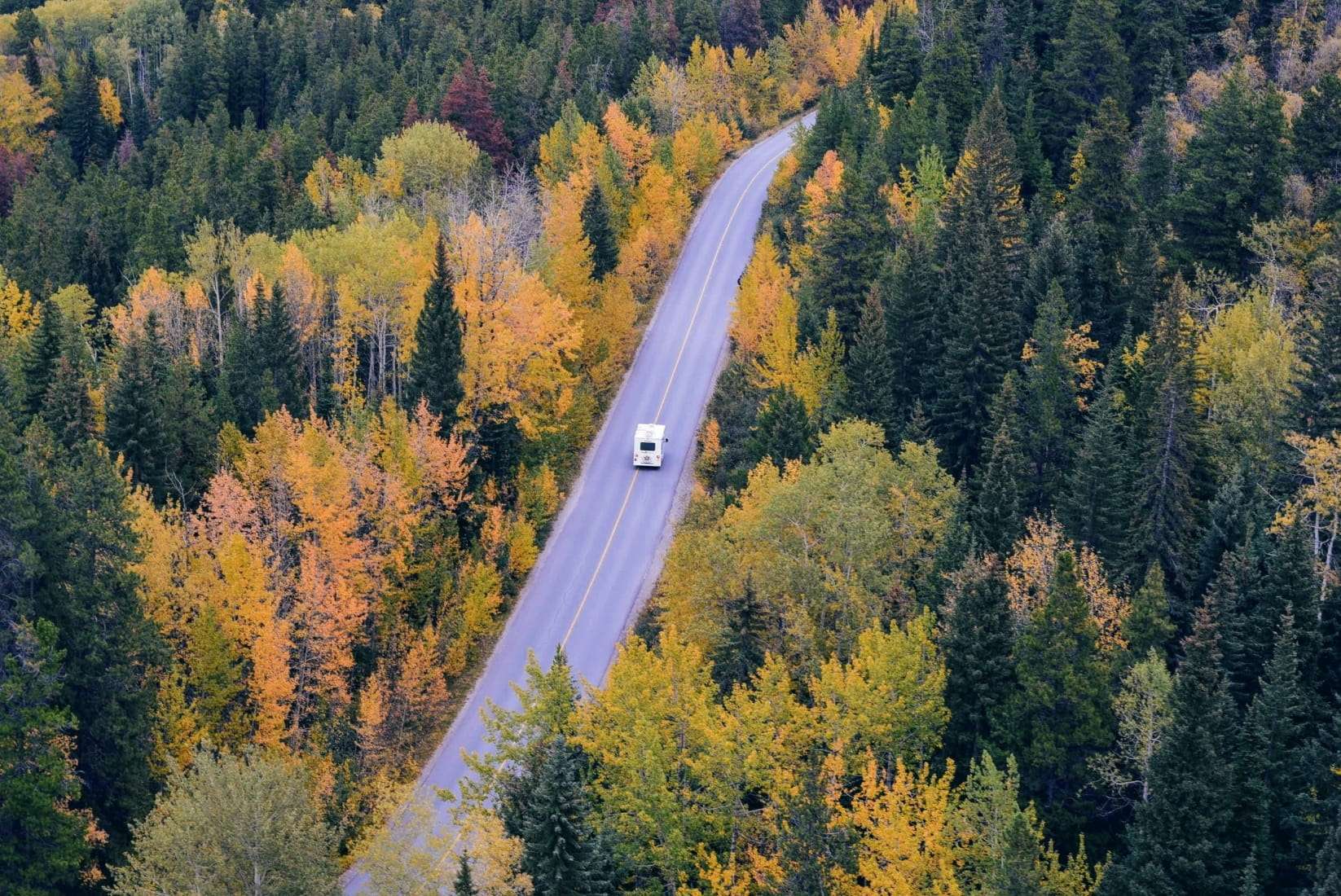 RV on a trip through the road in the woods