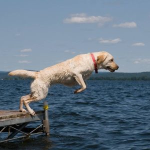 Grand Isle State Park | Vermont State Parks 