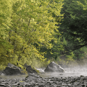 Battenkill River | Camping on the Battenkill