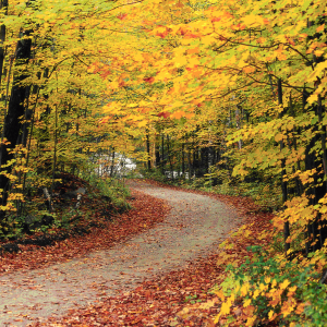 Hapgood Pond Recreation Area | Green Mountain National Forest 