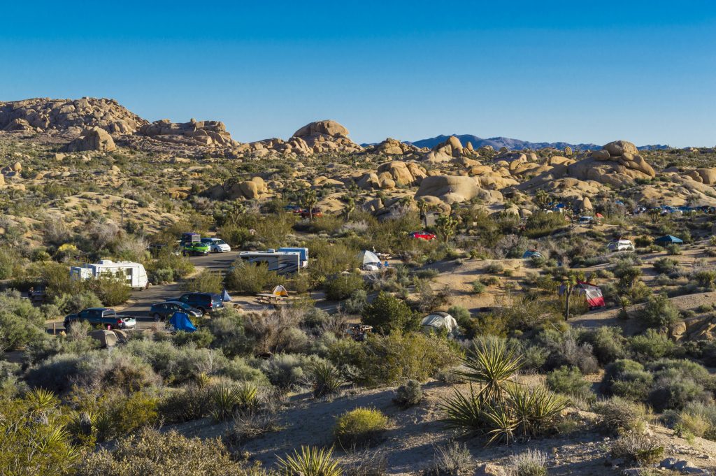 Campground in Joshua Tree National Park