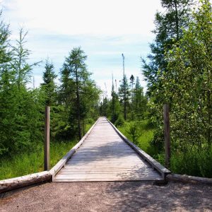 Lake Carmi State Park | Vermont State Parks