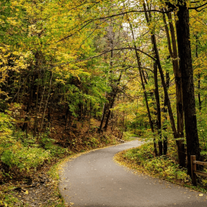 Mount Philo State Park | Best Camping Spots In Vermont