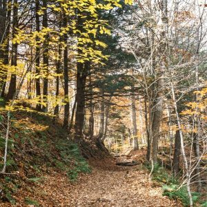 Smugglers Notch State Park | Best Camping Spots In Vermont