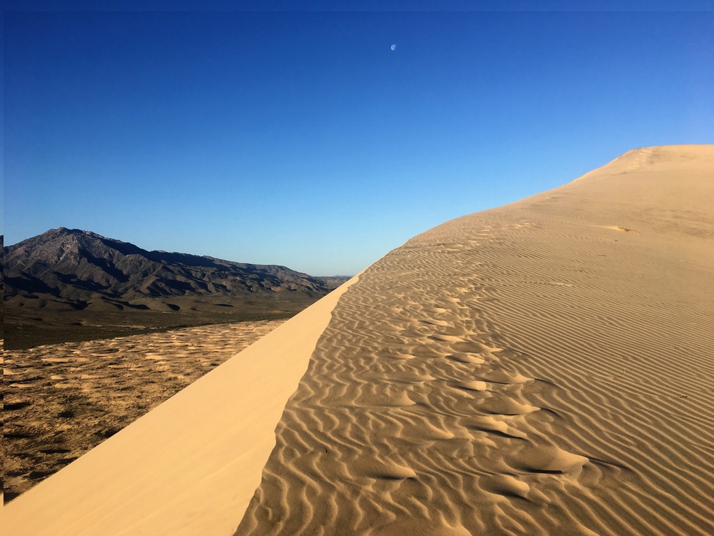  kelso dunes trail