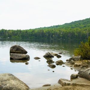 Kettle Pond State Park | Vermont State Parks