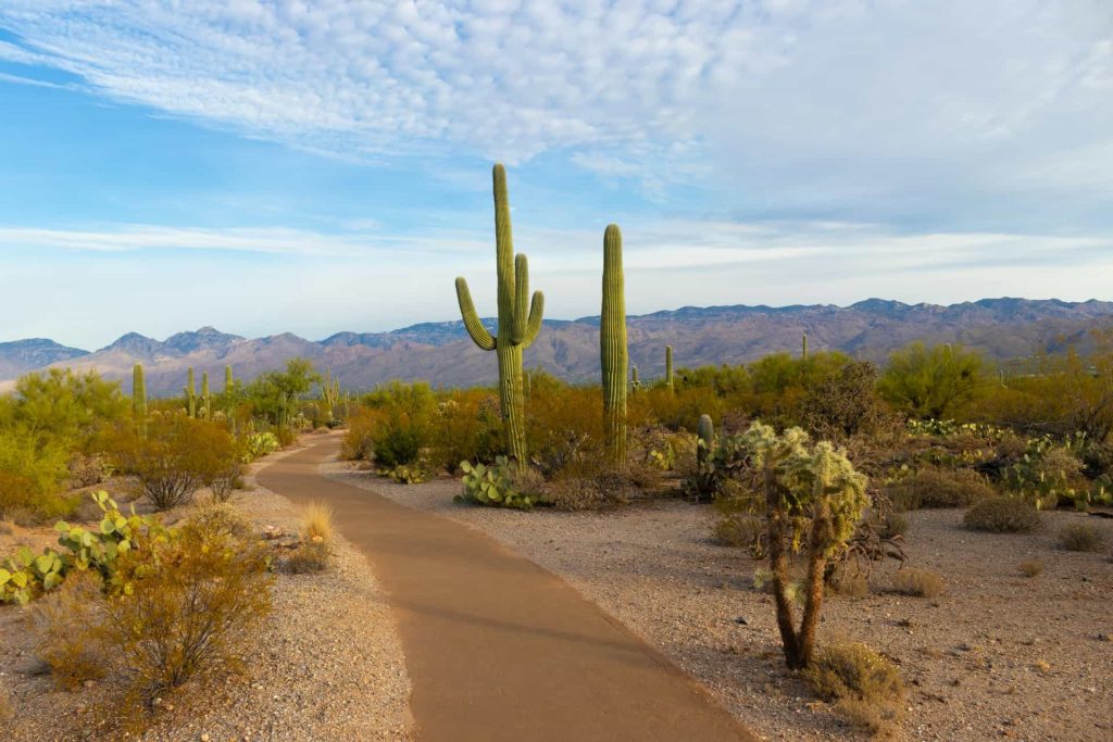 national parks in Arizona with RV camping 1