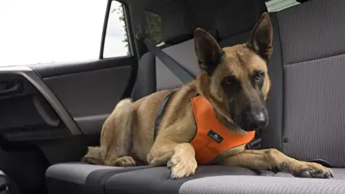 Sleepypod ClickIt Sport Crash-Tested Car Safety Dog Harness