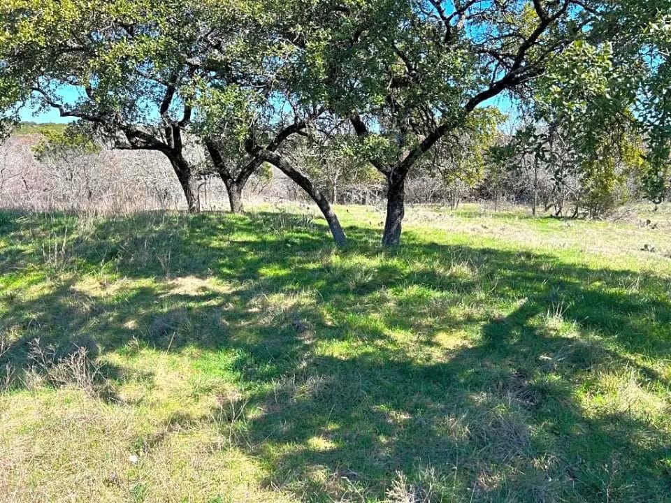 Campgrounds In Texas Fossil Trace Ranch 1